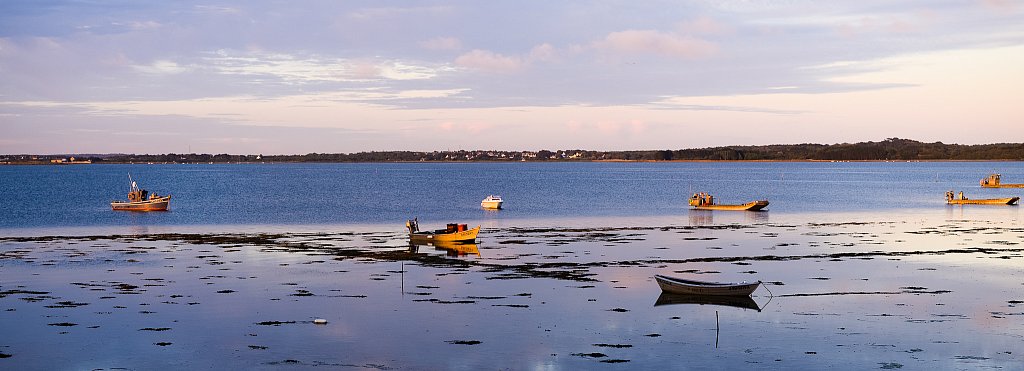 DSC2667.jpg