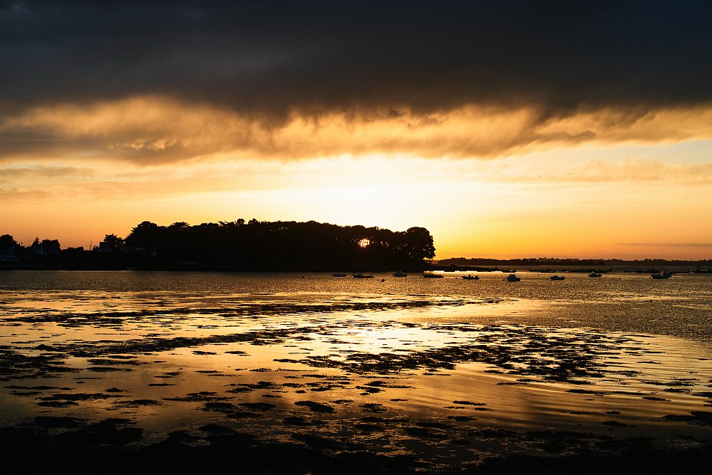DSC2698.jpg