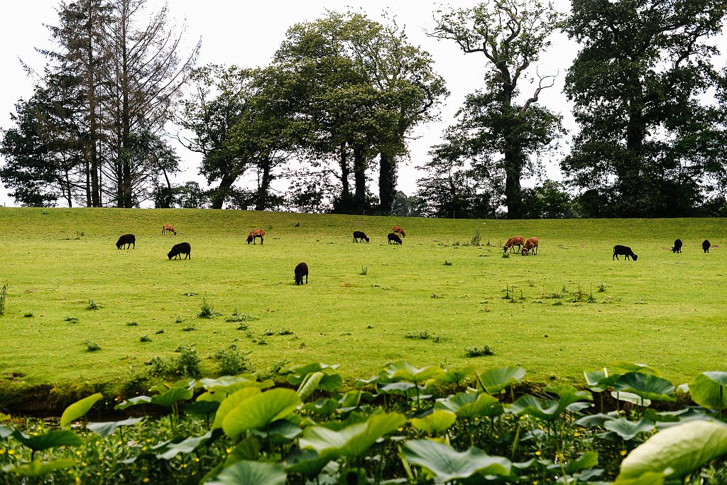 DSC2724.jpg