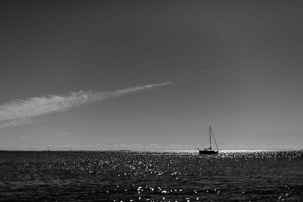 DSC5006.jpg