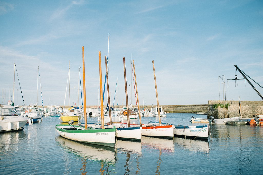 DSC5123.jpg