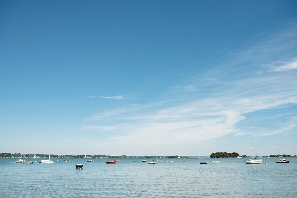 DSC5455.jpg