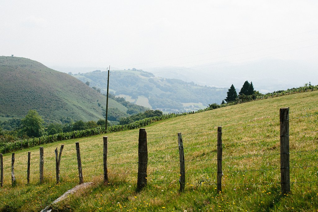 H9A4504.jpg